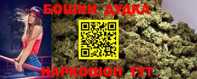 прущие грибы Шелехов