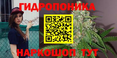 прущие грибы Шелехов
